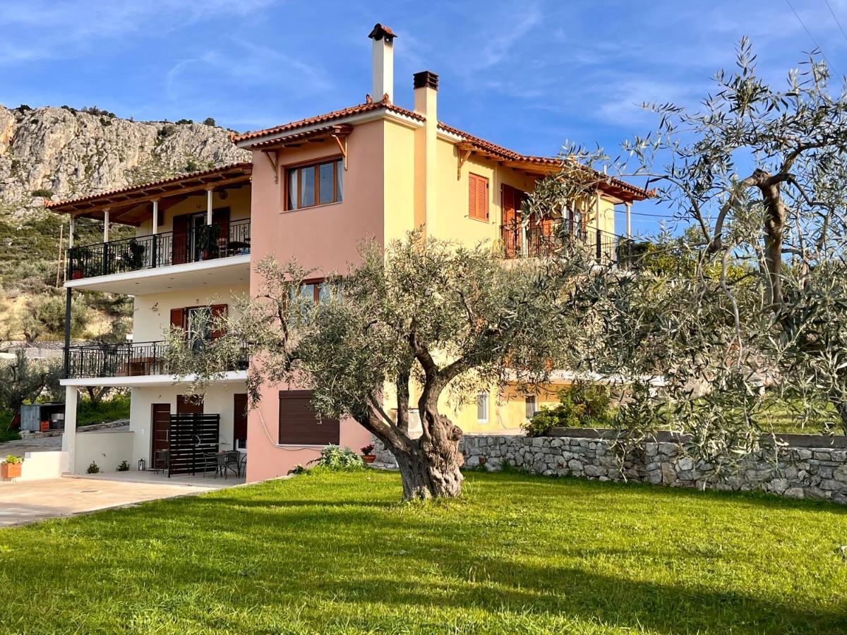 Ενtree Guest House Near Palamidi Castle ナフプリオ エクステリア 写真